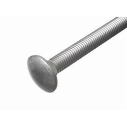 M10 x 150mm Carriage Bolt (10)