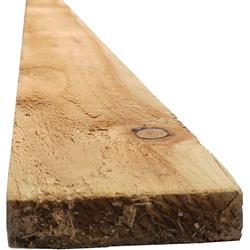 3x1 Treated Timber @4.8m (22mm x 75mm)
